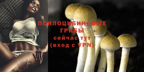 spice Алексин