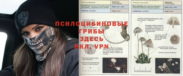 дживик Алексеевка
